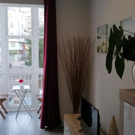 Pisazo Calle Peatonal En El Centro! Santender