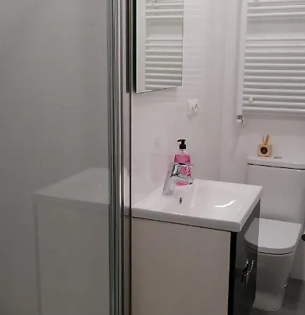 Pisazo Calle Peatonal En El Centro! Apartamento *