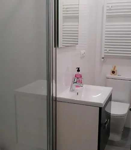 Pisazo Calle Peatonal En El Centro! Apartment *